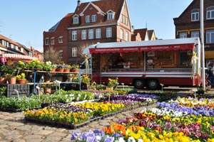 Wochenmarkt / Weekly market