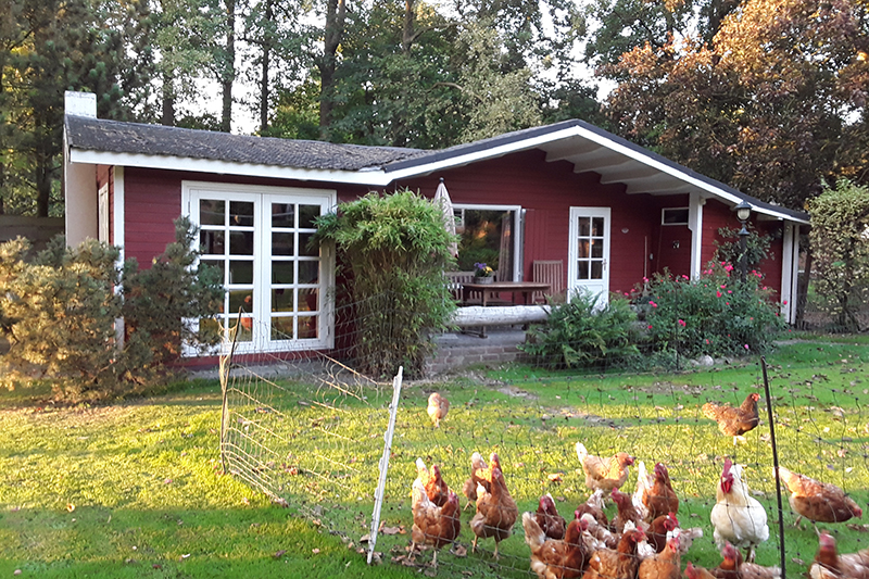 Ferienhof Olde Ferienhof Olde