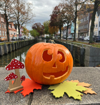 Kürbis im Herbst (c) GDM