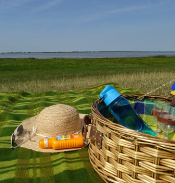 Sommer in Glückstadt (c) GDM